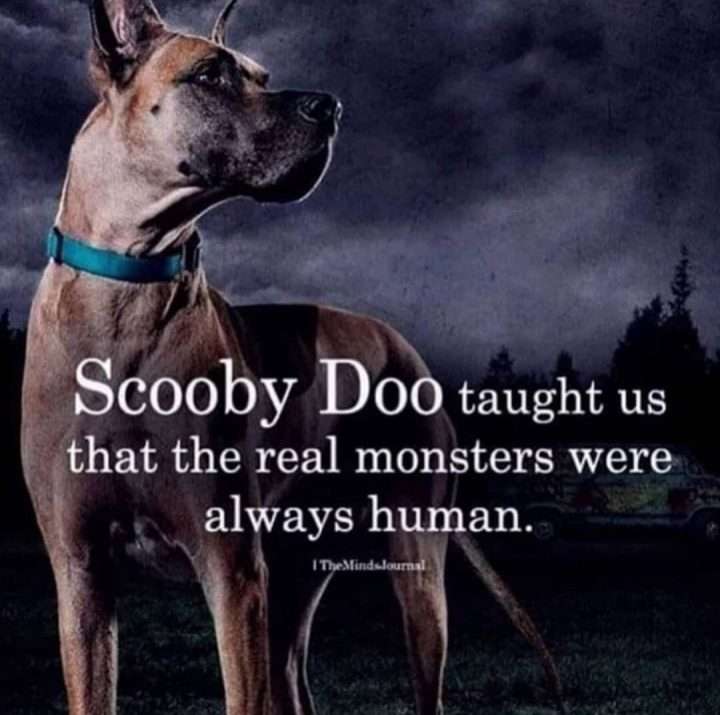 scooby-doo-720x715-1.