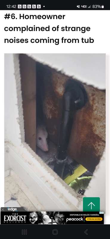 Screenshot-20231217-124232-Chrome.