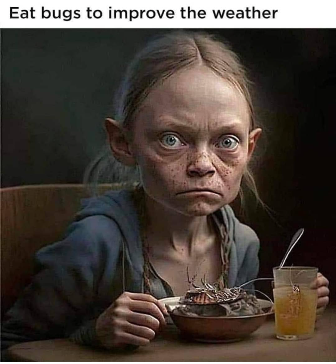 Screenshot_2023-03-13-07-27-08-1.