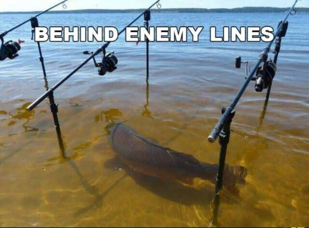 Screenshot_20230403_203728_MeWe.