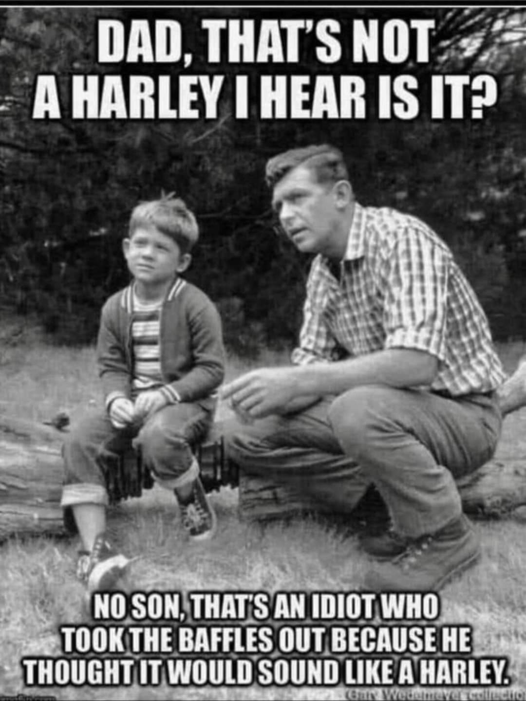 Screenshot_20231016_081437_MeWe.