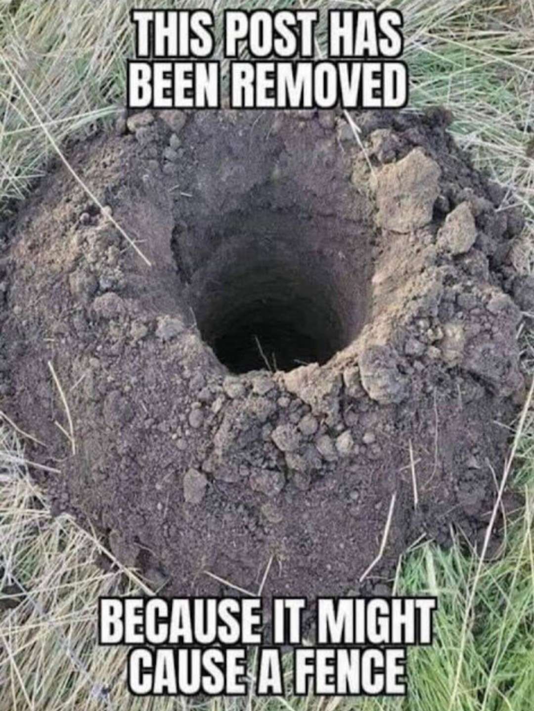 Screenshot_20231105_234019_MeWe.