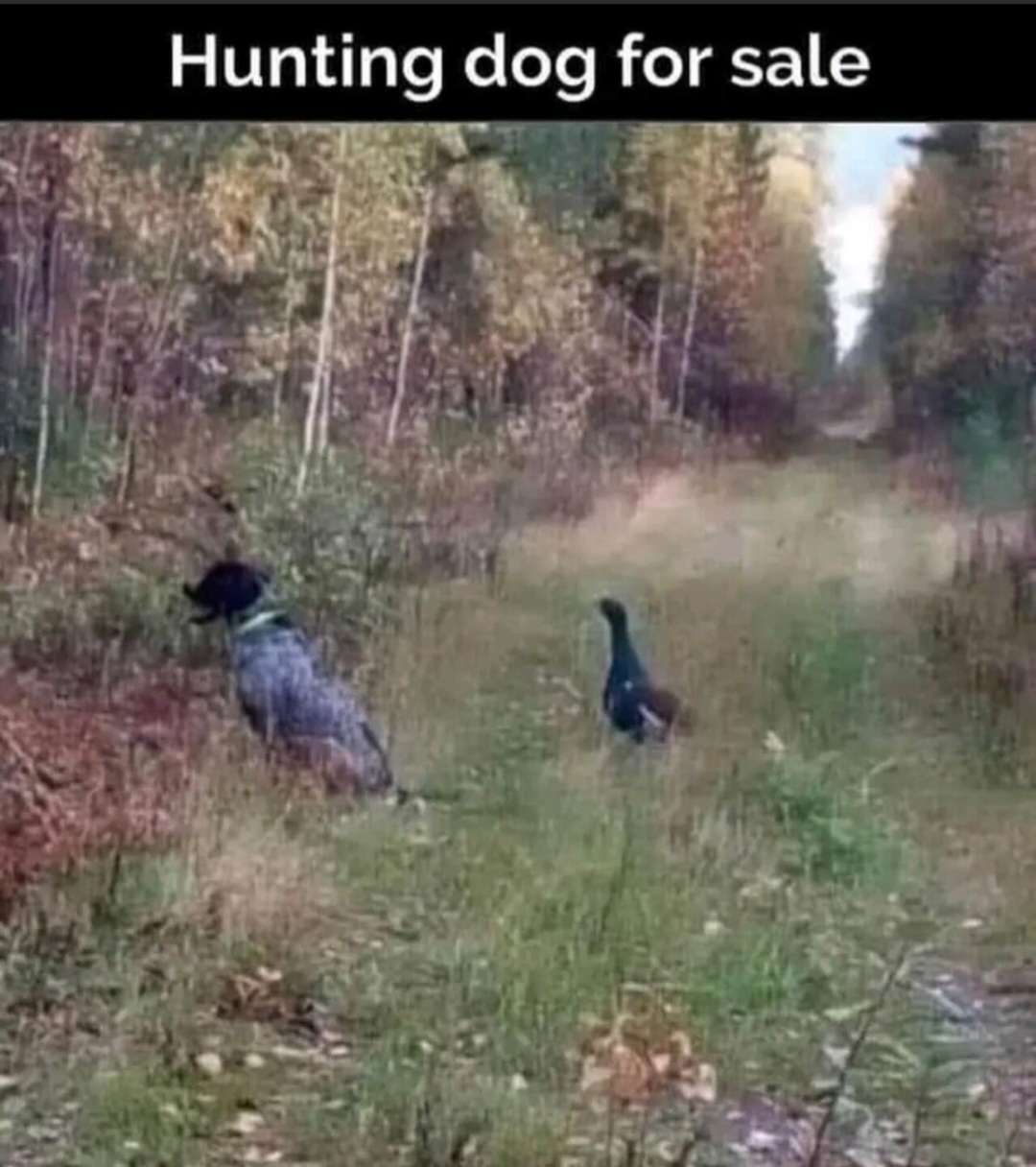 Screenshot_20231126_103537_MeWe.