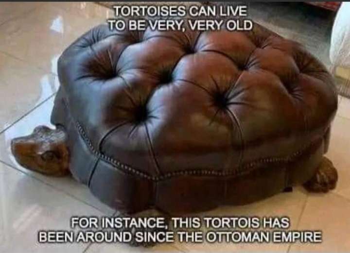 Screenshot_20240129_075347_MeWe.