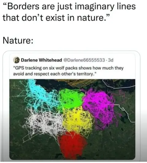 Screenshot_20240313-095254~2.