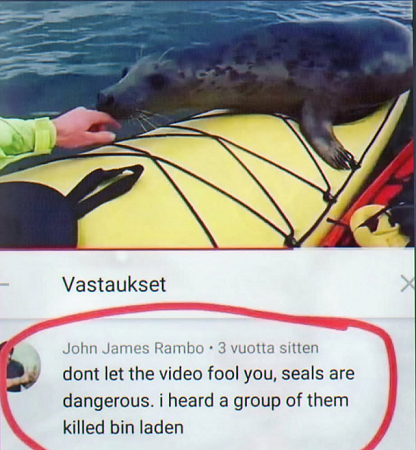 Seals.