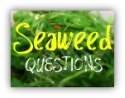 seaweed-questions.