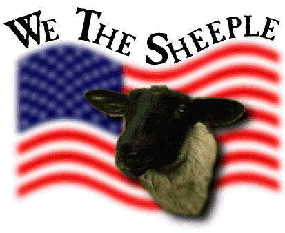 sheeple.