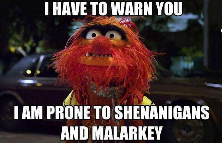 shenanigans.