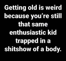 Shitshow-of-body.