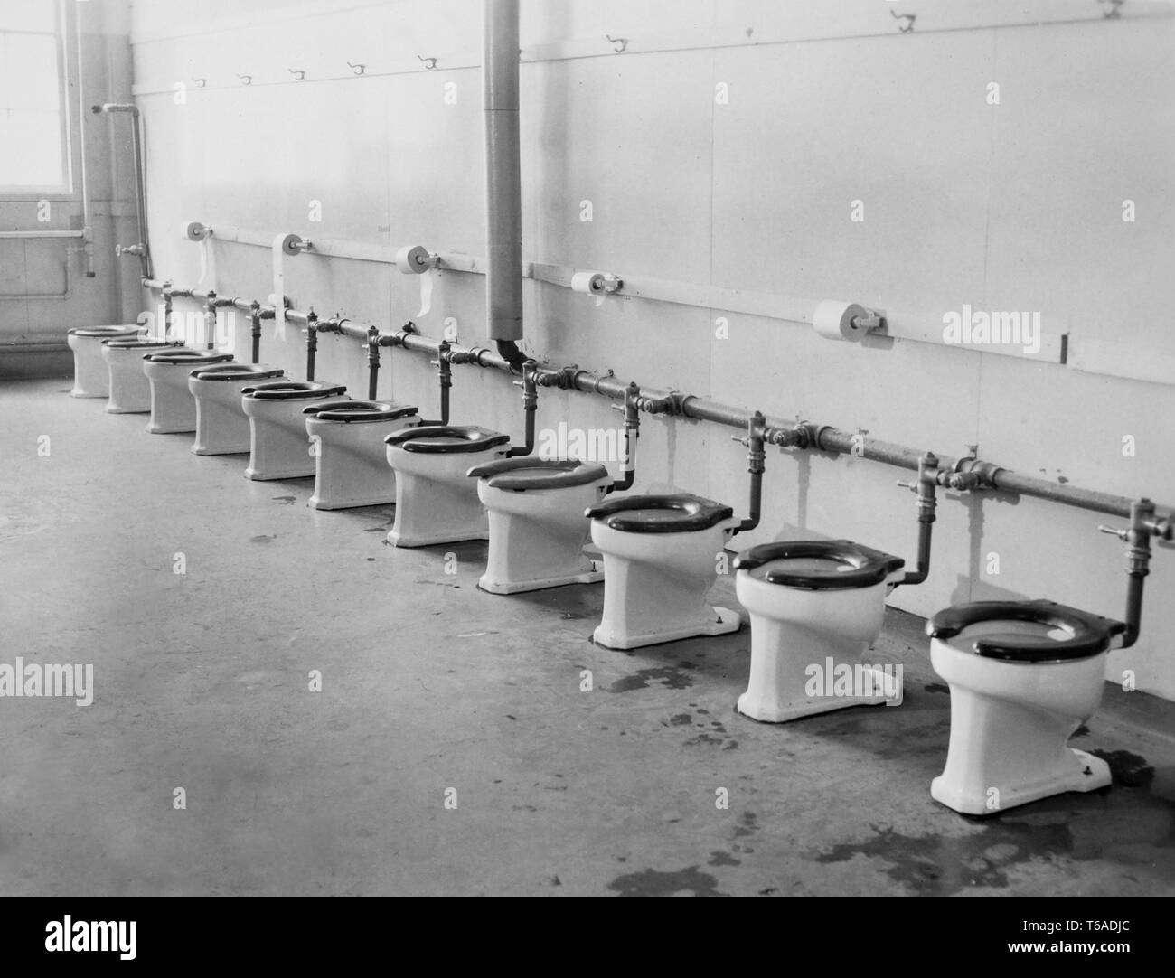 Shitters.