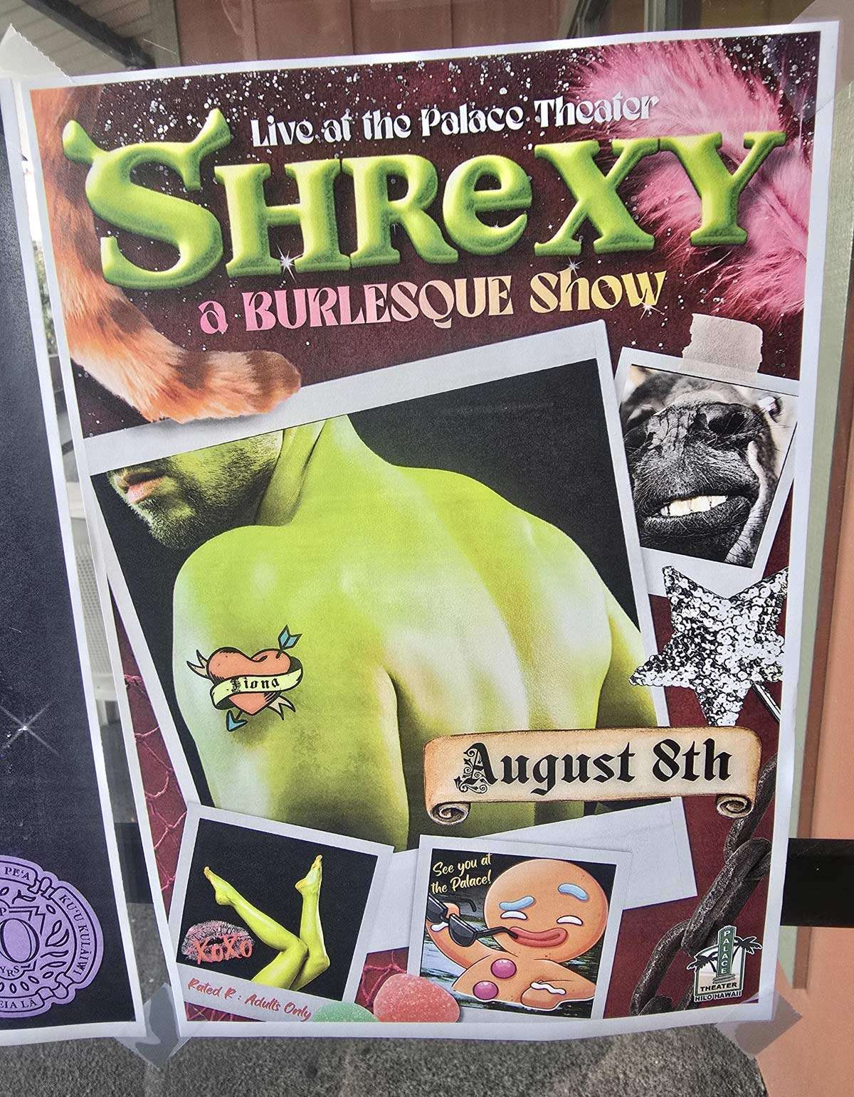 Shrexy-and-I-know-it.