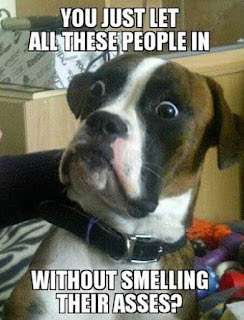 smelling.