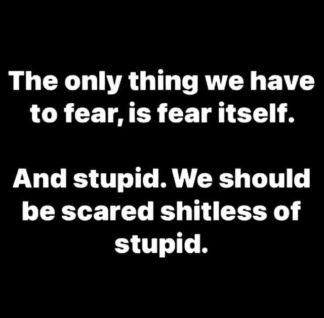 Stupid-fear.