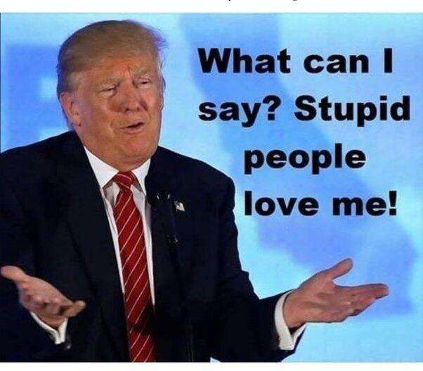 stupid.