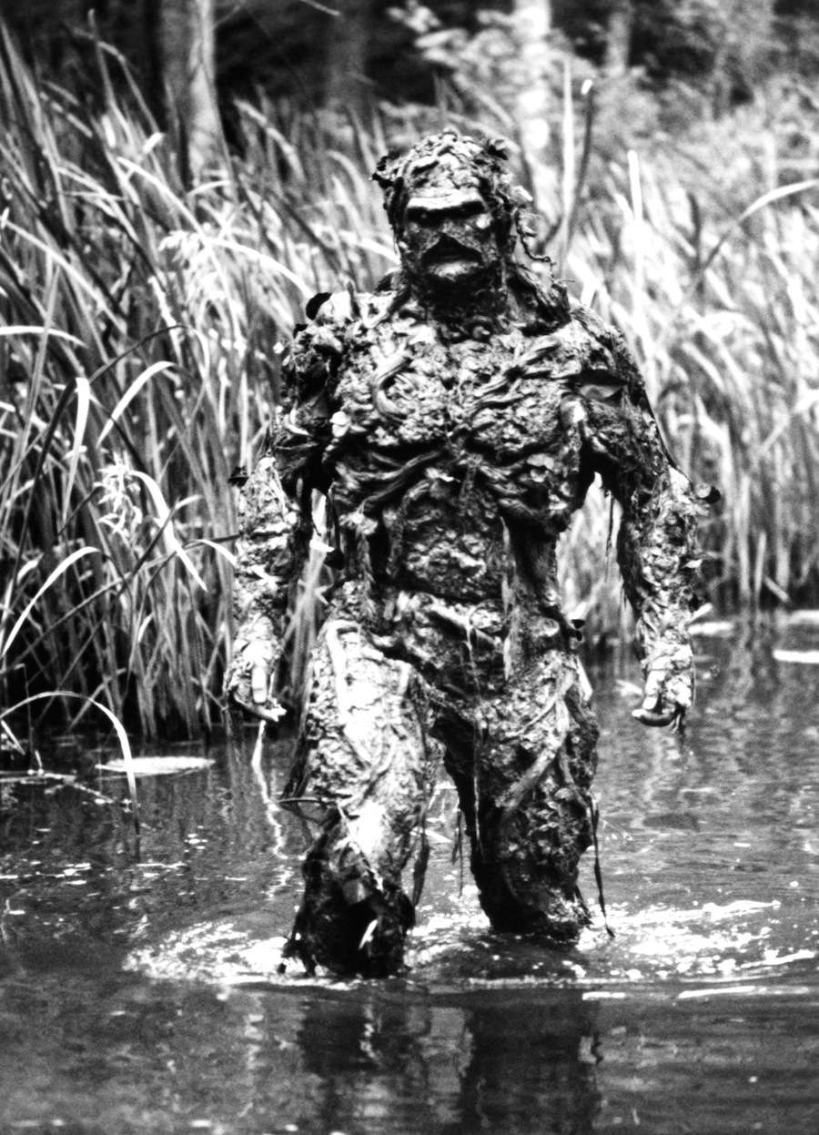 swamp thing1.