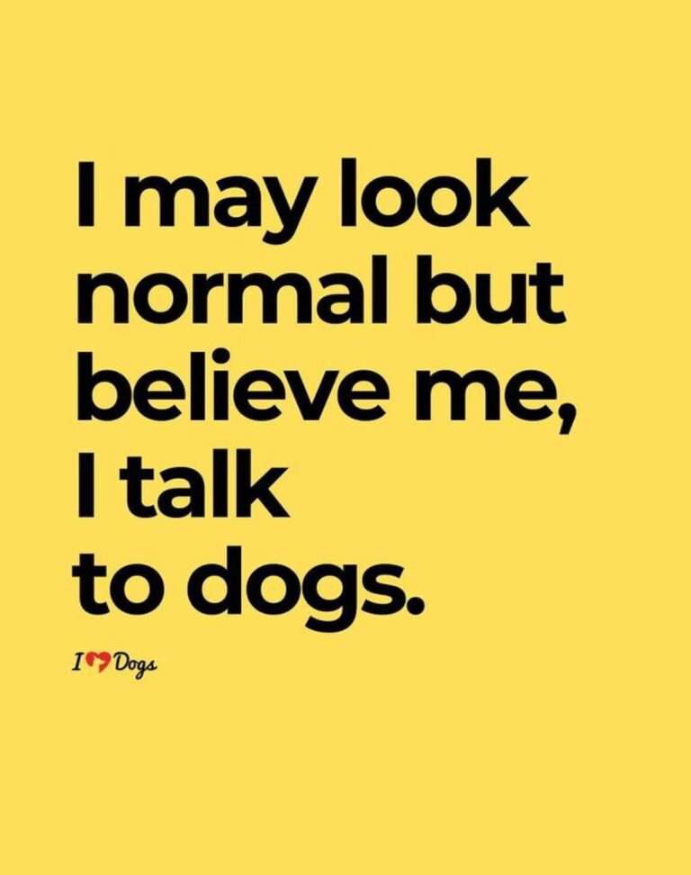 Talk-to-dogs-768x972.
