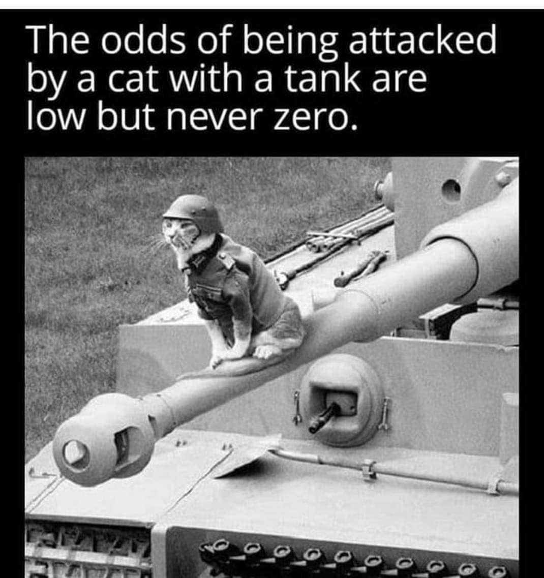 tankcat.