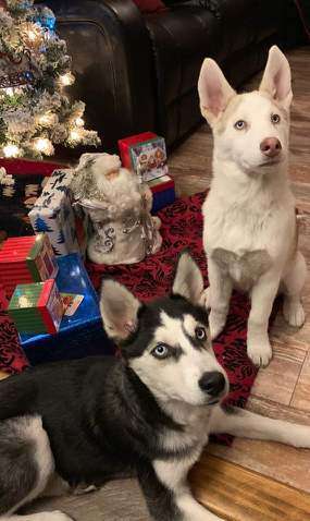 Thor and Rune Christmas.