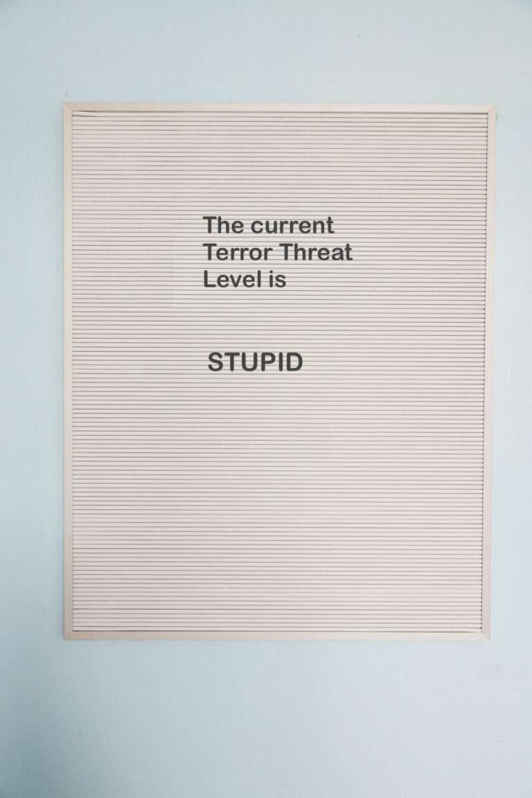 Threat-stupid-768x1152.