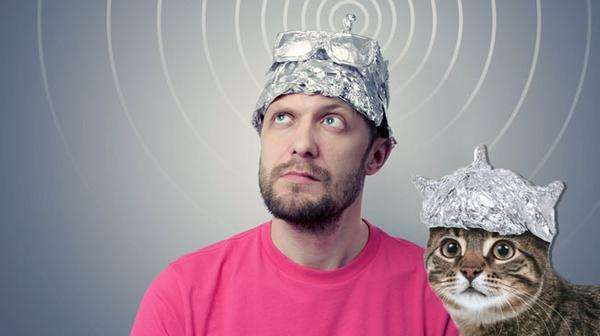 tinfoil-hat-and-tinfoil-cat.