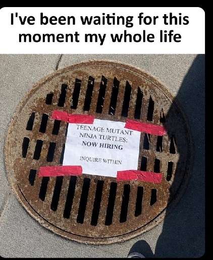 TMNT-hiring.