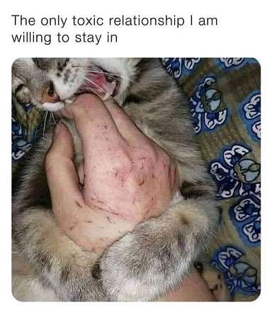 Toxic-relationship.