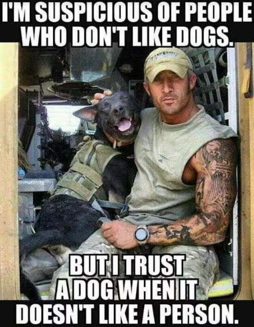 trustdogs.