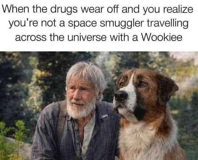 tumblr_07ce9a80987e7a0e104dcd022158dc5f_1d10c306_1280.