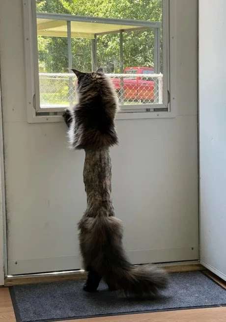 tumblr_54d90b58779f3ab079c03ca04198b139_0f738142_500.