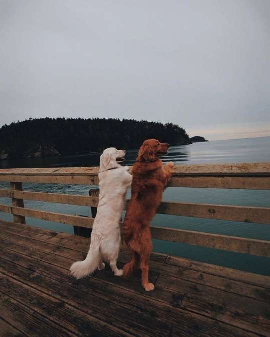 tumblr_6bac142d6d16550e64bdf6af08c26d54_dc0f2ebd_540.