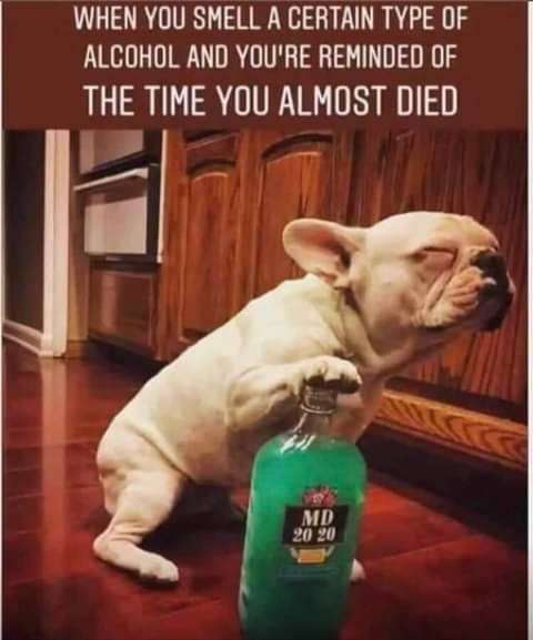 tumblr_9d541f0cf01438fc126321dff2df9d2c_96340af2_500.