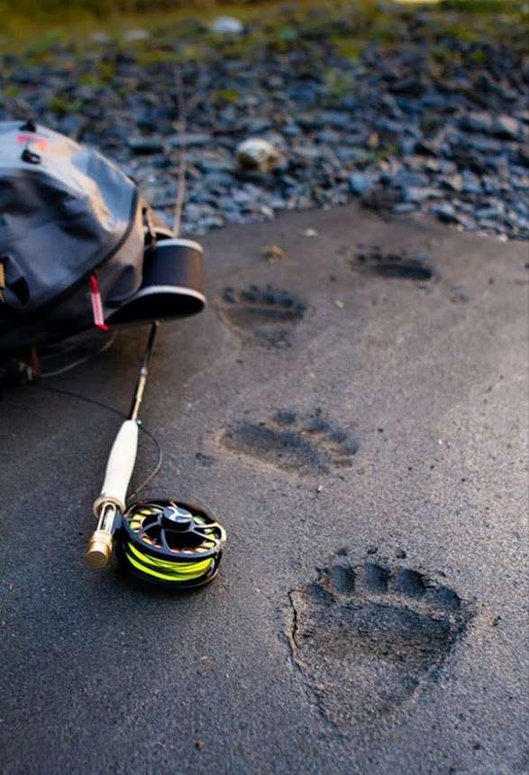 tumblr_b7f6fc1efcc01dd91582fa8369bfaee6_5ba59716_1280.