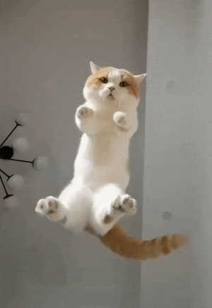 tumblr_b8a19d62434b7d3f0aa875b53dce77b1_51ab2a65_400.