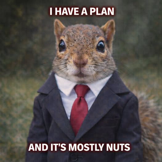 tumblr_cba8c36a05a18d55220b504b34e2d9d4_85f32537_540.