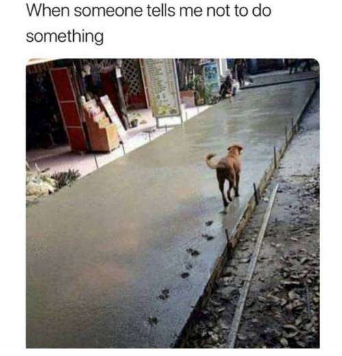tumblr_p2grrp5h8o1vkzuj9o1_500.