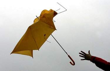 umbrella.