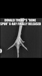 upload_2023-11-12_13-38-58.