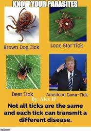 upload_2023-11-21_12-55-58.