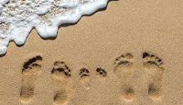 upload_2024-3-25_17-12-41.