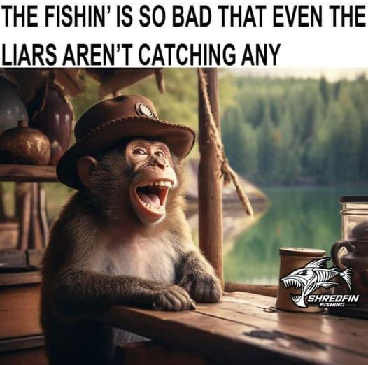 upload_2024-6-29_9-43-12.