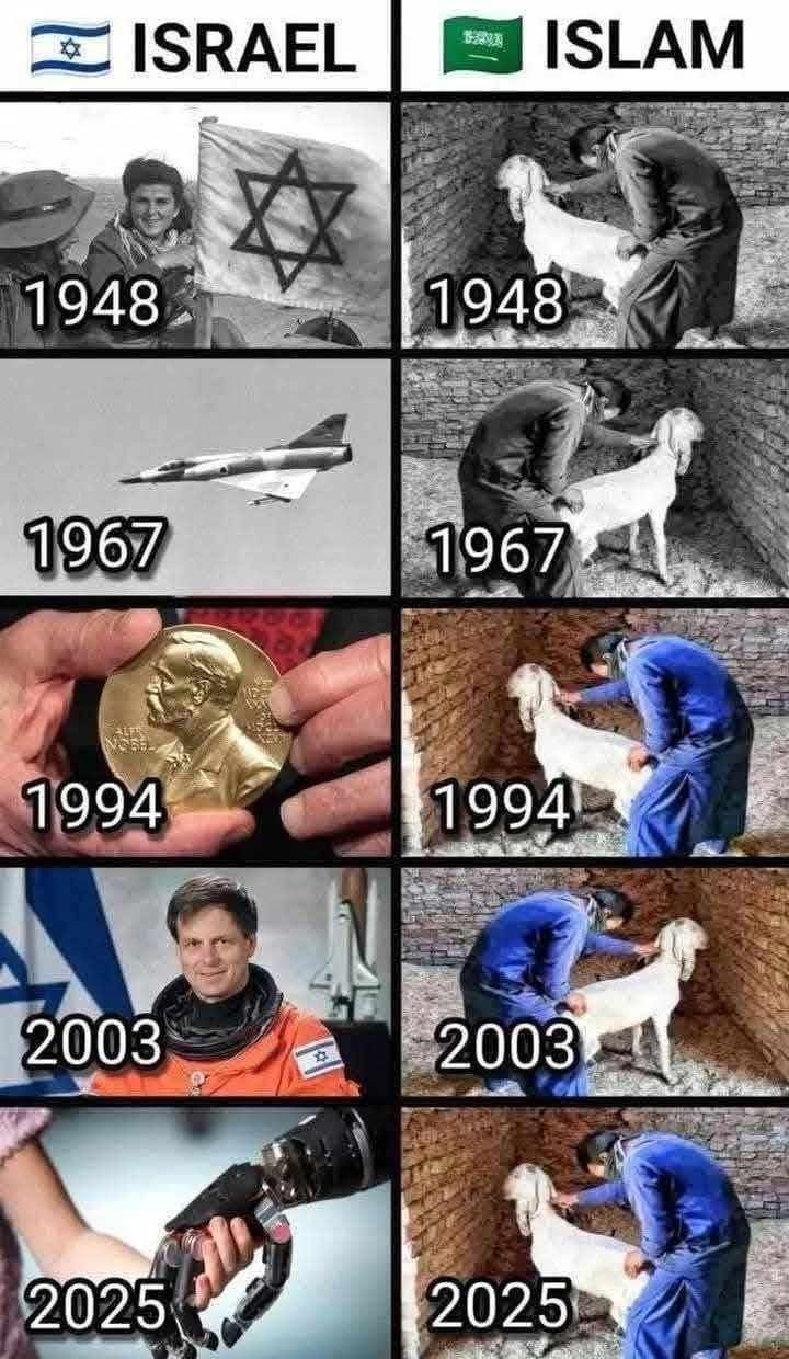 upload_2025-1-4_17-36-46.