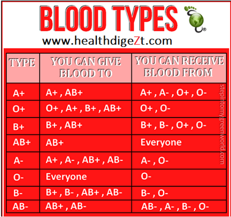 Transfusion Compatibility Chart