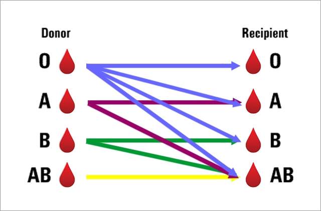 Blood Type Transfusion Chart