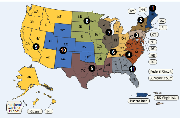 US_Circuit_Courts_of_Appeal_Map.