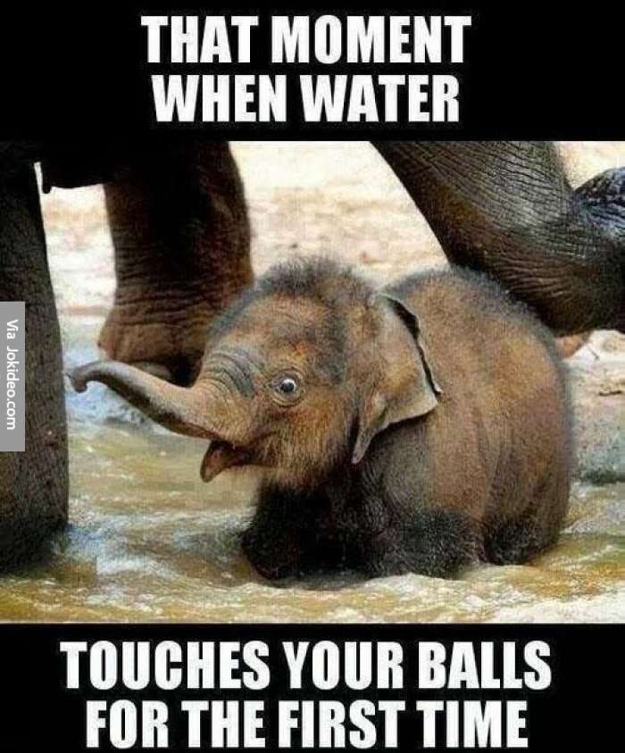 water.