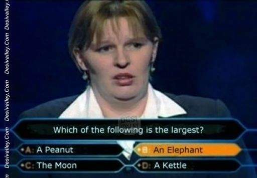 who-wants-to-be-a-millionaire-funny-stupid-picture.