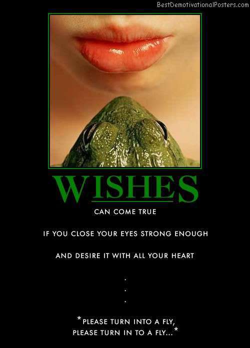 wishes-frog-desire-best-demotivational-posters.