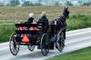Amish_Family_Buggy-1822248572.