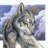 Wolfess